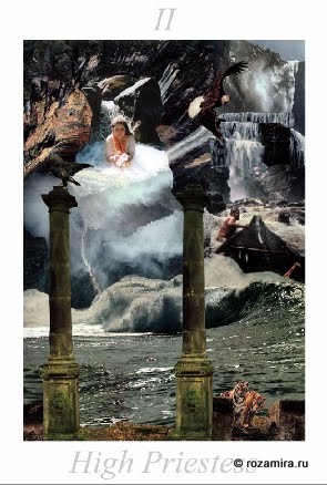 Nature Tarot by Jan Strube